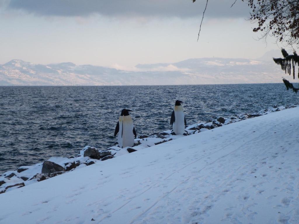 Hotel Le Littoral Evian-les-Bains Luaran gambar